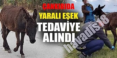 ÇANKIRIDA TRAFİK KAZASI 1 EŞEK YARALANDI!